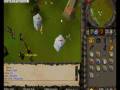 videos de TobiasScape Pking Championships.wmv