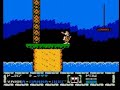 remember the old nes game?