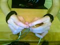 pt. 2: Paracord Knife Lanyards and Bracelets