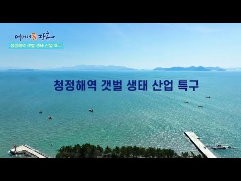 어머니 품 장흥 “청정해역 갯벌 생태 산업 특구"