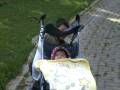 videos de Promenade entre frêre et soeur
