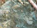 videos de ENDAPAN MANGAN.wmv