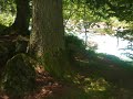 Loreena McKennit - Skellig