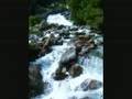 Une ballade en musique chez dame nature