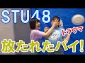 生クリームパイ投げ選手権 STU48 清水紗良 工藤理子 小島愛子 池田裕楽 令和のパイ投げ 生クリーム