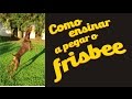 Adestramento---Pegar-Frisbee