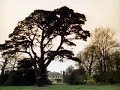 Jonathan Meades :: In Search of Bohemia (2/3)
