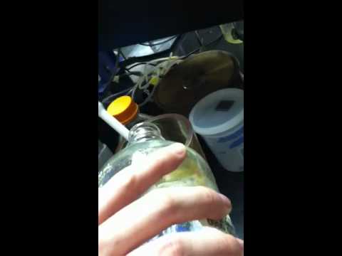 how to test for e coli