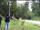 Neustadt Rallye 2008