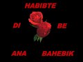 habib  LiEbSt Du MiCh ?