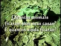 Amazônia em perigo!