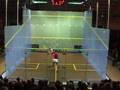Sarah Fitz-Gerald vs Nicol David (Game 4)