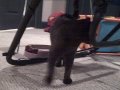 My kitty,add Annotations,and happy birthday ruby