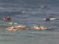 sali bengana rachid : les videos voile