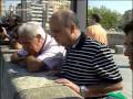 Silures qui attaquent des pigeons