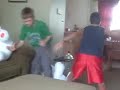 dog chiken fighting dog chiken fighting