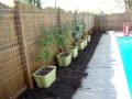 Urban Garden Outdoor Fence Gardening