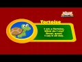 Animal Sounds in Hindi - Tortoise