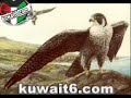 الكويت - كويت - kuwait