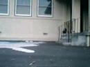 New camara+small ollie sesh with Thomas