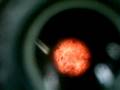 videos de paramecium under LPO