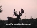 Bow Season Primer Bow Season Primer