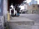 ANDR� PRADO - SK8