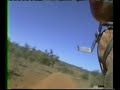 Birdy Flying His Feral Gyrocopter, Part 2
