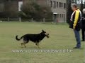 fiasko von karthago fiasko von karthago