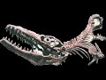Mosasaur video