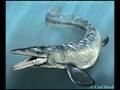 Mosasaur video