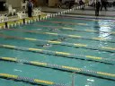 100m Breaststroke - World Swimming Championships