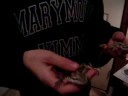 Bearded Dragons Caring Bearded Dragons Caring