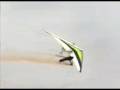 videos de 2005 AirPower Over Hampton Roads - Dan Buchanan