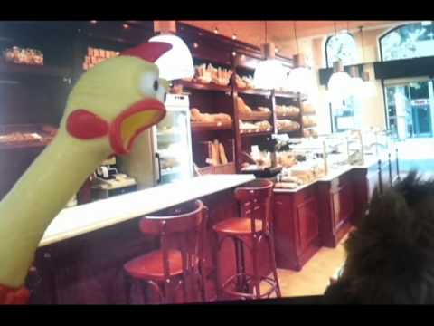 Imagen de previsualización de YouTube