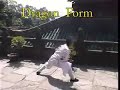 WUDANG DRAGON FORM