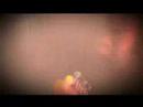 The Strokes - Oxegen Festival
