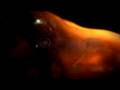 Deus Ex 3 Debut trailer