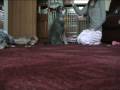 videos de 089