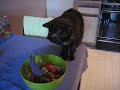 [Video]