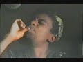 Aza complexe - Njakatiana