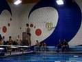 403c-Diving-C-square