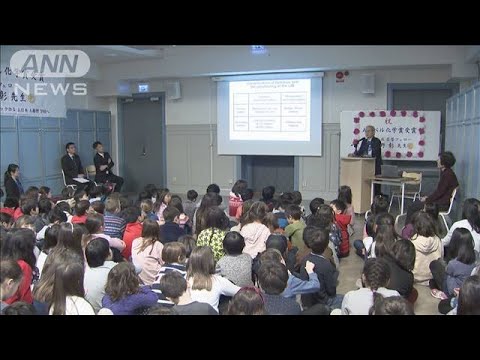 動画