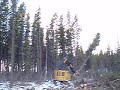Tigercat 822 Feller Buncher