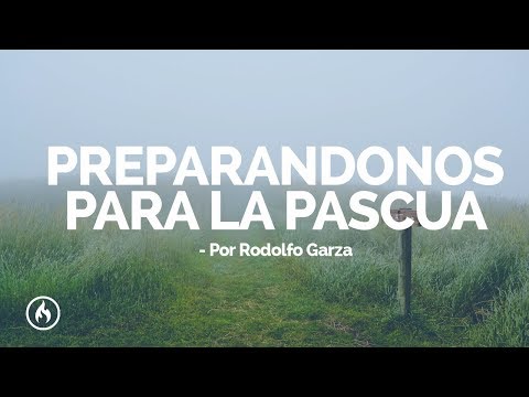 Ver video