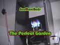 SeeMoreBuds - The Perfect Garden - Marijuana SeeMoreBuds - The Perfect Garden - Marijuana