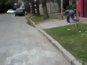 buena caida