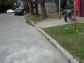 videos de buena caida