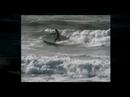 surfdude mike surfdude mike