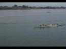 Aloha Outrigger Races in Santa Cruz